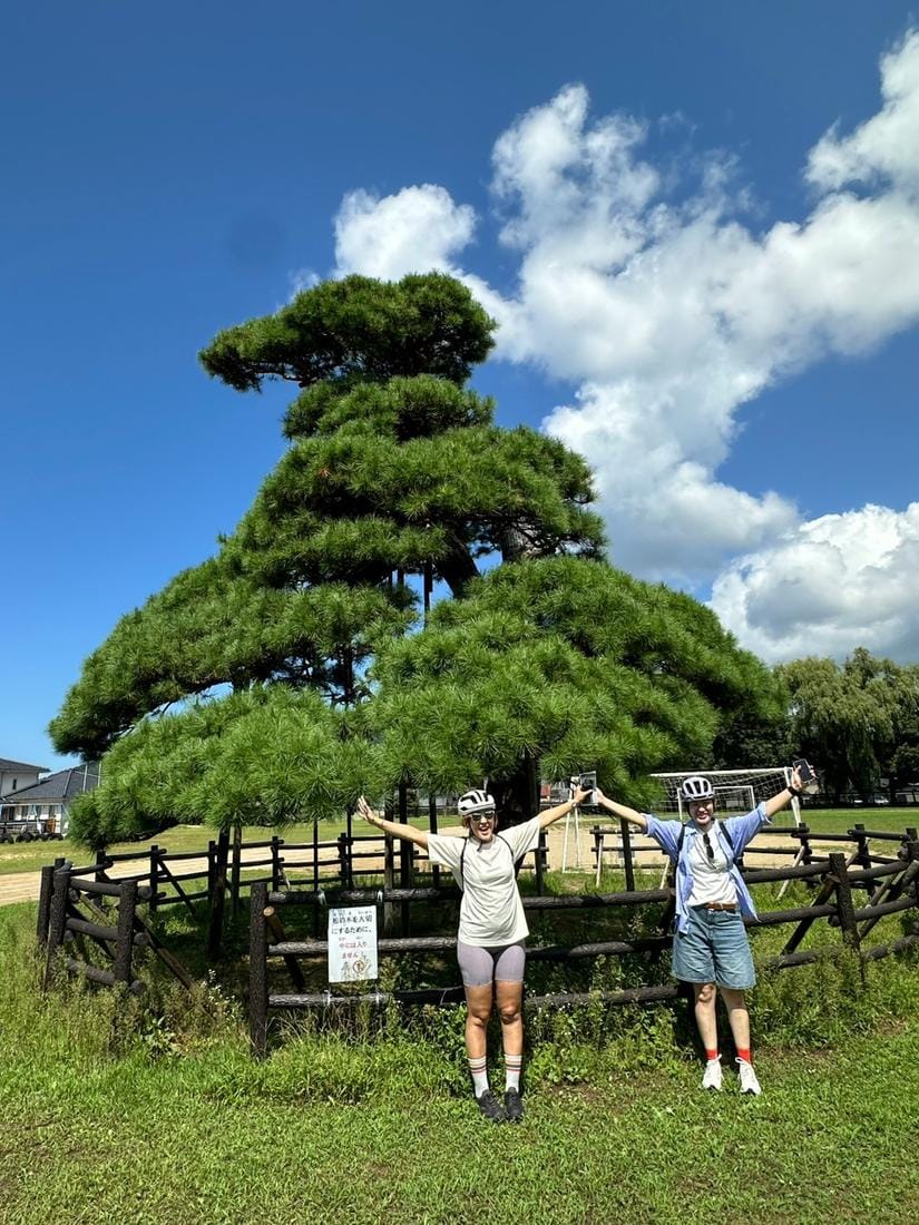 城下町老松下的騎士,市區路段適合慢速巡覽。