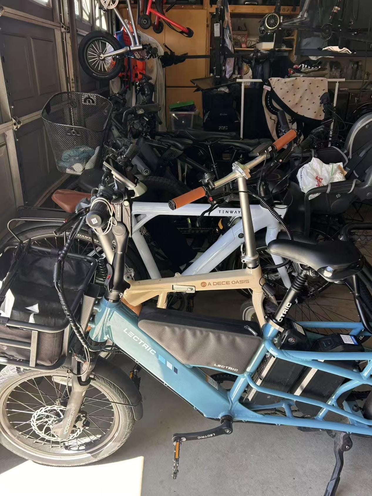 Ralf 車庫中的各式新創車款